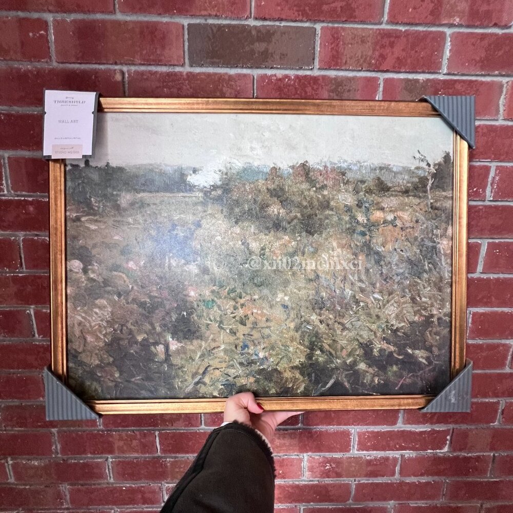TARGET STUDIO MCGEE LANDSCAPE STUDY FRAME WALL CANVAS